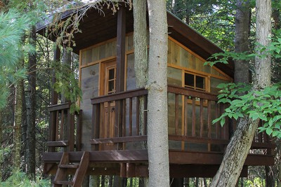 Cabane dans les arbres
