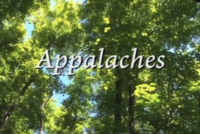 La for�t appalachienne