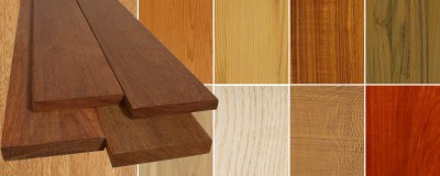 Quelles essences de bois est recommandées pour l'extérieur