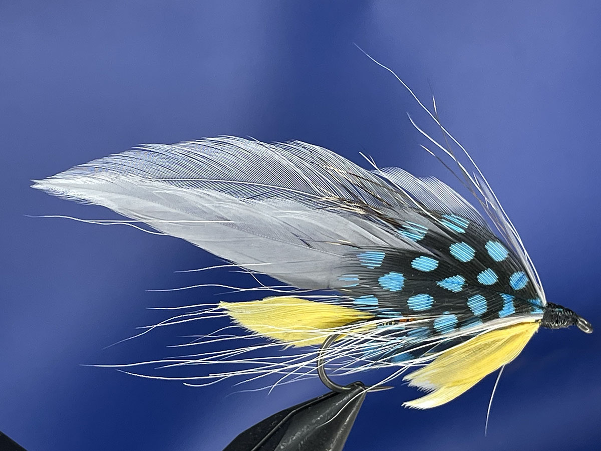Streamer - Gray Ghost - Variation