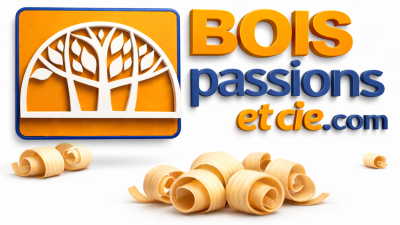 Logo Bois passions et cie