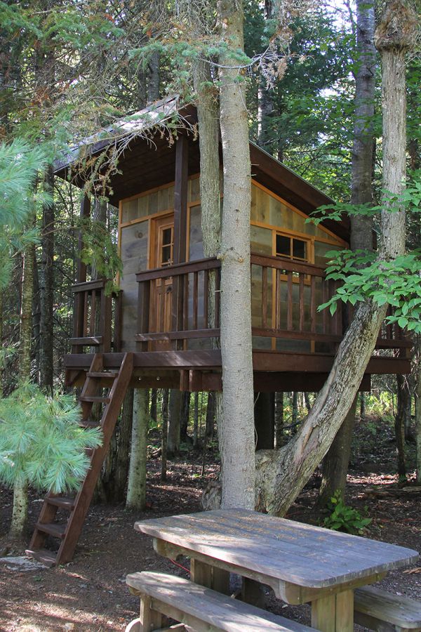Cabane dans les arbres