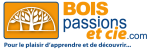 Logo Bois passions et cie