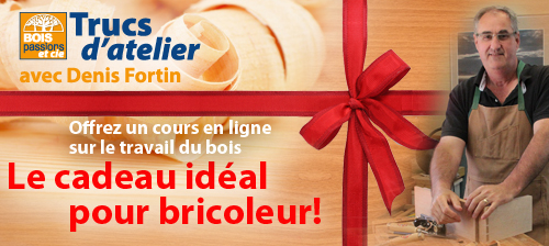 Offrez un cours en ligne pour les fêtes