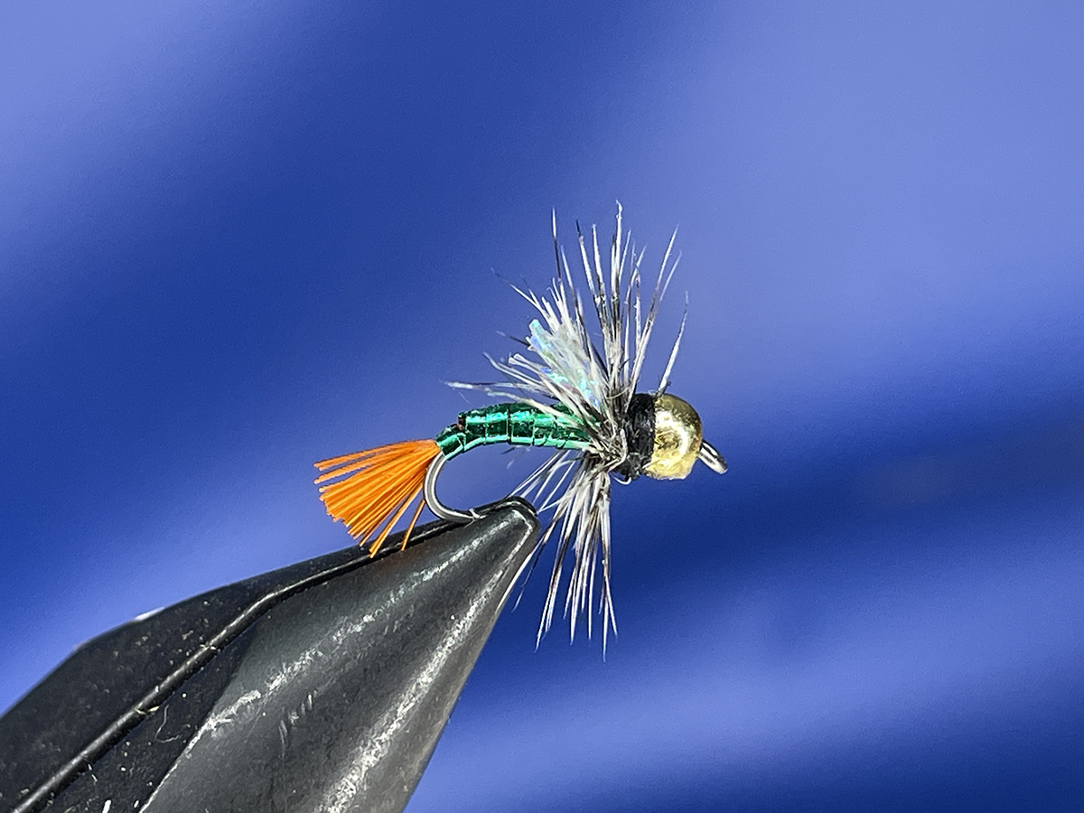 Nymphe