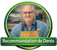 Recommandation de Denis