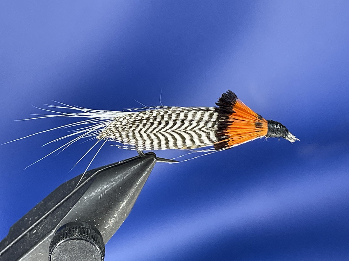 Streamer - Fiset