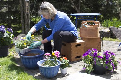 Bo�tes � outils de jardin